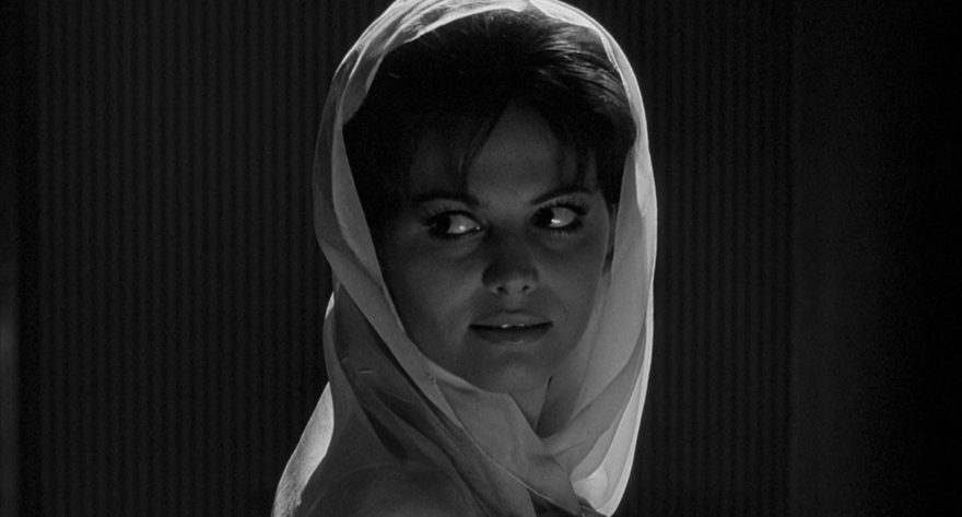 image of Claudia Cardinale - 70th edition of the Festival de Cannes. Black and white photography